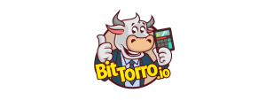 ../_images/BitTorro.png